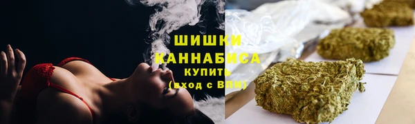 СК Коряжма