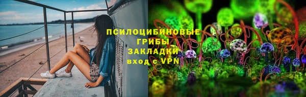 крисы Новозыбков